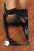 504238777 Thermostat