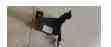 504238777 Thermostat