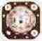 504238777 Thermostat