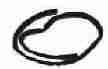 504238777 Thermostat