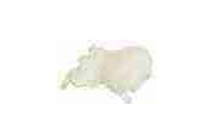 504238777 Thermostat
